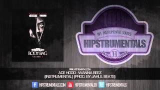 Ace Hood - Wanna Beez [Instrumental] (Prod. By Jahlil Beats) + DOWNLOAD LINK