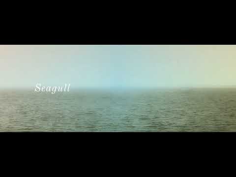 Seldom Seen - Seldom Seen - Seagull