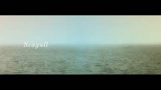 Video Seldom Seen - Seagull
