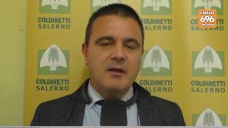 neve-sulle-spiagge-del-cilento-disastro-per-l-agricoltura