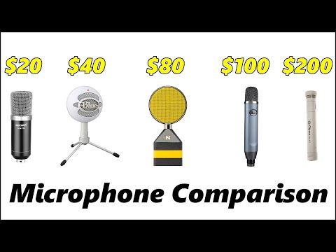 $20 Mic vs $40, $80, $100, and $200 Microphones (Neewer, Blue, Neat, Oktava)