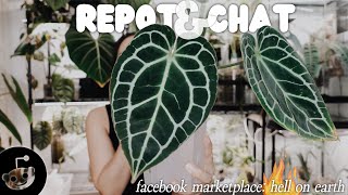 repot & chat #16 - facebook marketplace drama / reddit AITA 😒