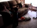 Ian Exercising To Winnie The Pooh