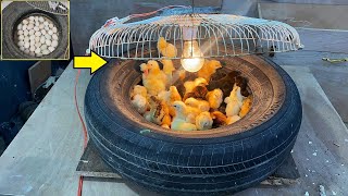 Hatch chicks In old TYRE Without any Temperature Controller _ Chicks hatching