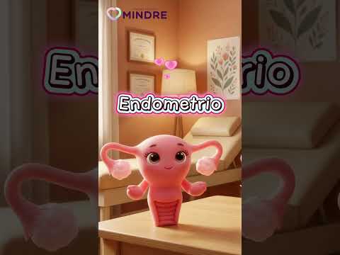 ¿Cómo funciona el útero?