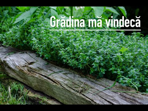 , title : 'Grădina mă vindecă / The garden heals me'