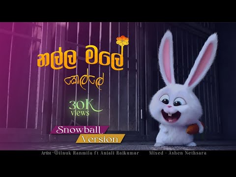 නල්ල මලේ කෙල්ලෙ Snowball Cover | Nalla male kelle | Dilnuk Ranmila ft Anjali Rajkumar