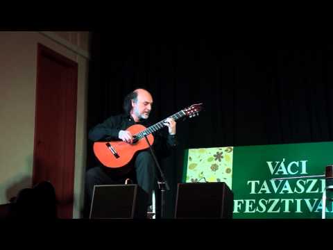 Sandor Szabo - live in Vac, Spring Festival 2013