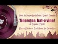 Tinerețea Bat O Vina Eugene O Neill Teatru Pe Vinil Teatru Radiofonic Comedie