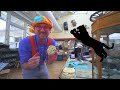 Blippi At An Outdoor Children S Museum Learn About Fossils And More