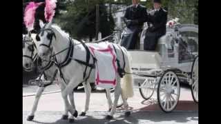 R.I.P Jade Anderson.