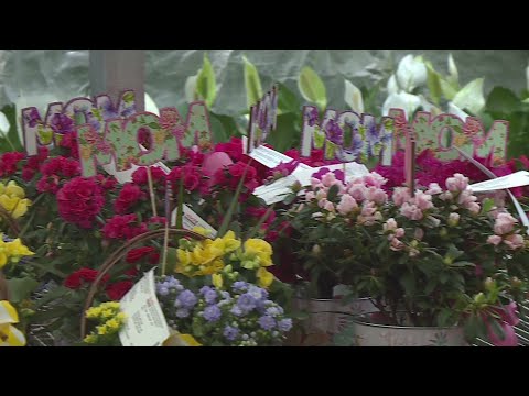 Flowers on Mother's Day