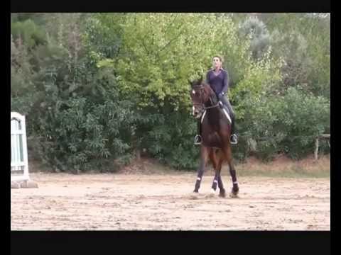 Rittersport (10.10.2012)