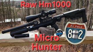 RAW HM1000 MICRO HUNTER 🔥🔥🔥