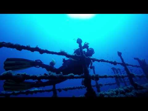 Elphis - Relitto di Trapani // GoPro