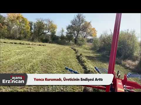 Yonca Kurumadı, Üreticinin Endişesi Arttı