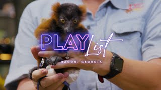 Museum of Arts & Sciences -- Add to your Macon, Georgia PlayList!