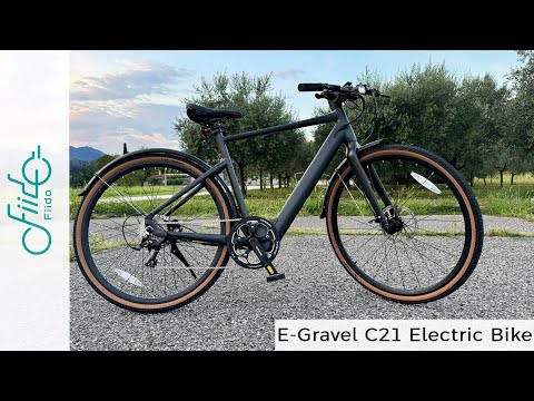 Elektrinis dviratis Fiido Gravel C21, L, pilkas video