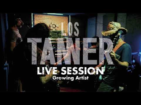 Video de la banda Los Tanner 