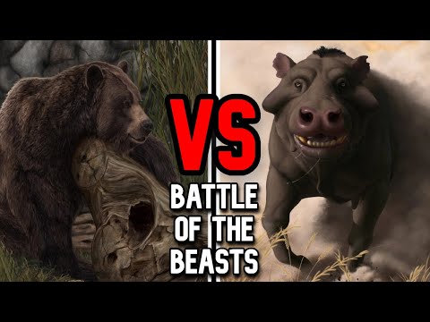 Short-Faced Bear vs Daeodon | Closer Than You Think