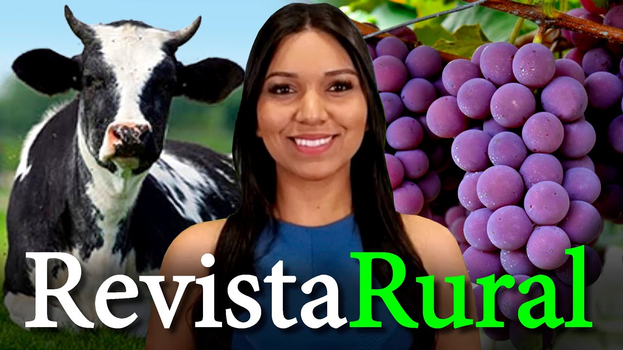 PROGRAMA REVISTA RURAL - 12/11/2023