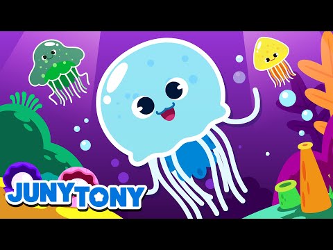 Canção da Água-viva | Animais Marinhos | Música Infantil | JunyTony em Português