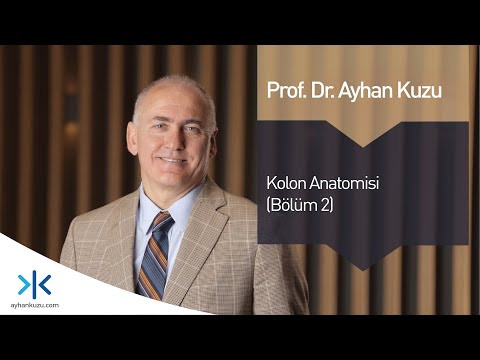 Kolon Anatomisi - Anatomi (Bölüm 2)