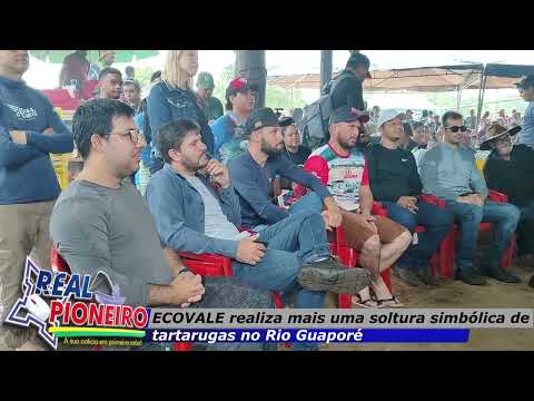 SOLTURA DAS TARTARUGAS
