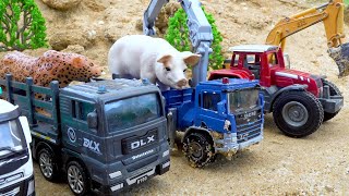 Лучшие погони за Грузовик для перевозки животных!