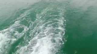 "Summer Daze" Original Song   Music Video