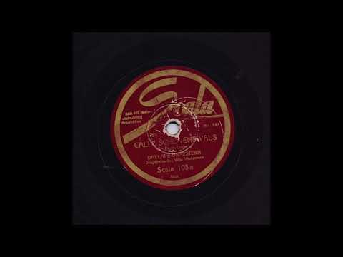 DALLAPÉ ORKESTERN VILJO VESTERINEN - CALLE SCHEWENS VALS