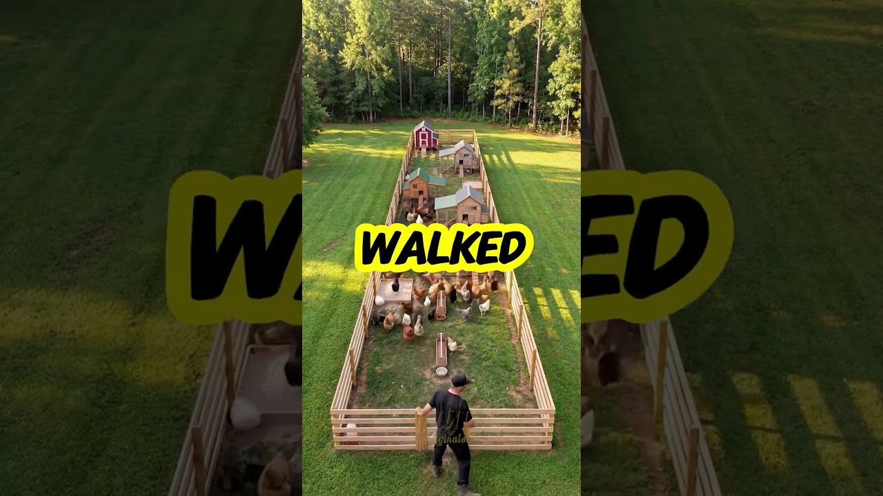 I left her cheating, and her laughter broke me—but the truth burned everything down🔥