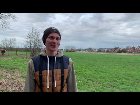 Fachbereich Umweltschutz: So können die gefährdeten Kiebitze während der Brutzeit geschützt werden