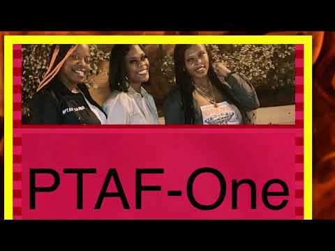 PTAF- ONE (freestyle)