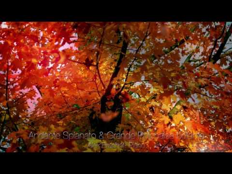 Chopin: Andante Spianato and Grande Polonaise Brillante Op.22 - Alex Brachet (2003)