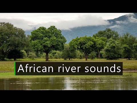 A river in the savanna - Sounds of Africa