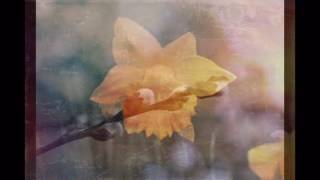 Haunt the House  - Ease Your Troubled Mind