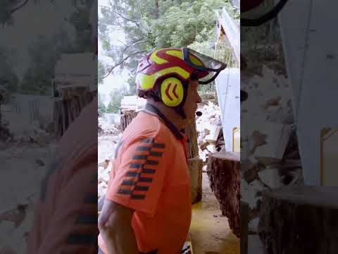 Mahoe, powered by DEUTZ #engine #shorts #short #shortvideo