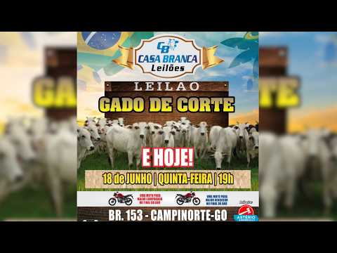 LEILÃO GADO DE CORTE CASA BRANCA LEILÕES -  CAMPINORTE - GO  18 /06 / 2026