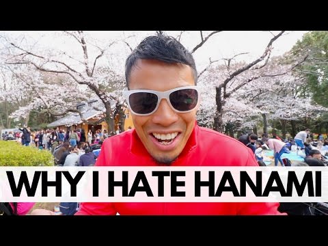 Tokyo Hanami Guide - Why I AVOID Parks during Cherry Blossom Season