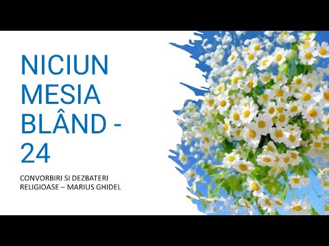 NICIUN MESIA BLÂND - 24