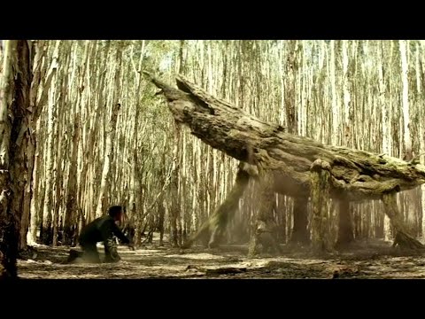 SPORE MANTIS Scene - Kong Skull Island (2017) Movie Clip HD