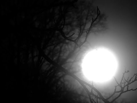 1/2 - MOND Konjunktion SATURN - 16.04.2023/28.01.1740 - Die Gefühle eisern im Griff...