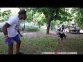 IShowSpeed Barking With The Dogs In Greece