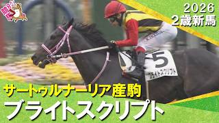 断然人気に応えてブライトスクリプトが一気の差し切りでデビュー勝ち！池添騎手「満足できる内容でした」2026年10月4日(日)２歳新馬　京都芝1400m　実況：川島壮雄【カンテレ公式】