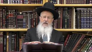 הגאון הרב אברהם יוסף שליט"א האם מותר לתת לילדים קטנים לאכול לפני ההבדלה (הרב אברהם יוסף) - התמונה מוצגת ישירות מתוך אתר האינטרנט יוטיוב. זכויות היוצרים בתמונה שייכות ליוצרה. קישור קרדיט למקור התוכן נמצא בתוך דף הסרטון