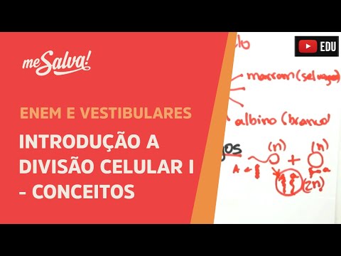 Me Salva! CIT23 - Citologia - Introdução a divisão celular 1 - Conceitos