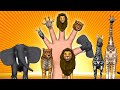 Animal Finger Family - Finger Family Song - 3D Animation Nursery Rhymes & Songs for Children