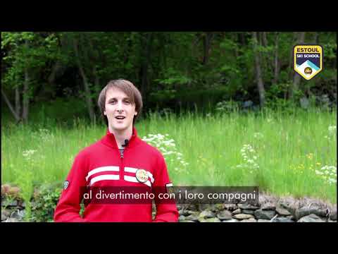 QUANTO CI METTO AD IMPARARE A SCIARE? Il maestro risponde - Estoul Ski School