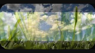 Gras - Frank Boeijen